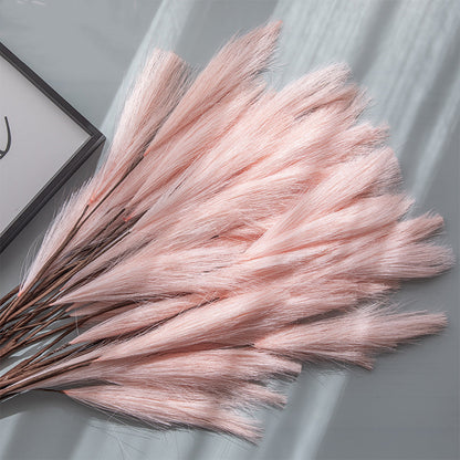 Fleurs Séchées  "Eternel Bohème"