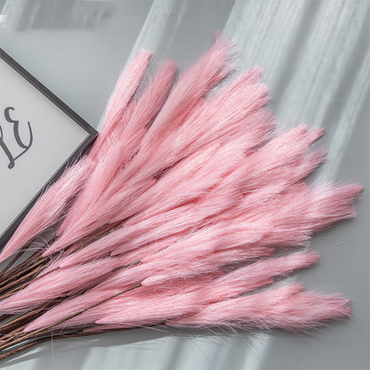 Fleurs Séchées  "Eternel Bohème"