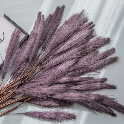 Fleurs Séchées  "Eternel Bohème"