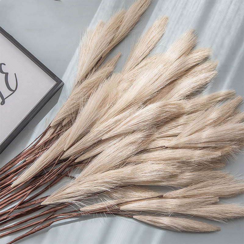 Fleurs Séchées  "Eternel Bohème"